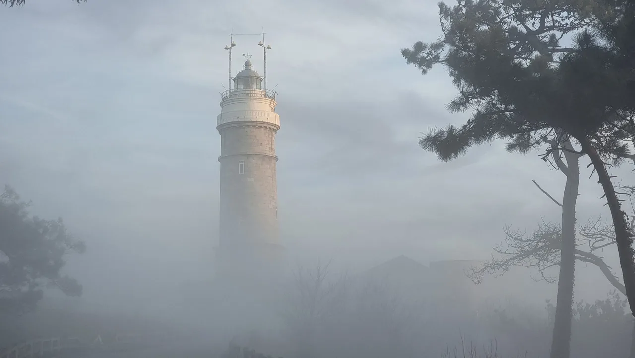 Torre del Faro de Cabo Mayor emergiendo entre la niebla y los pinos