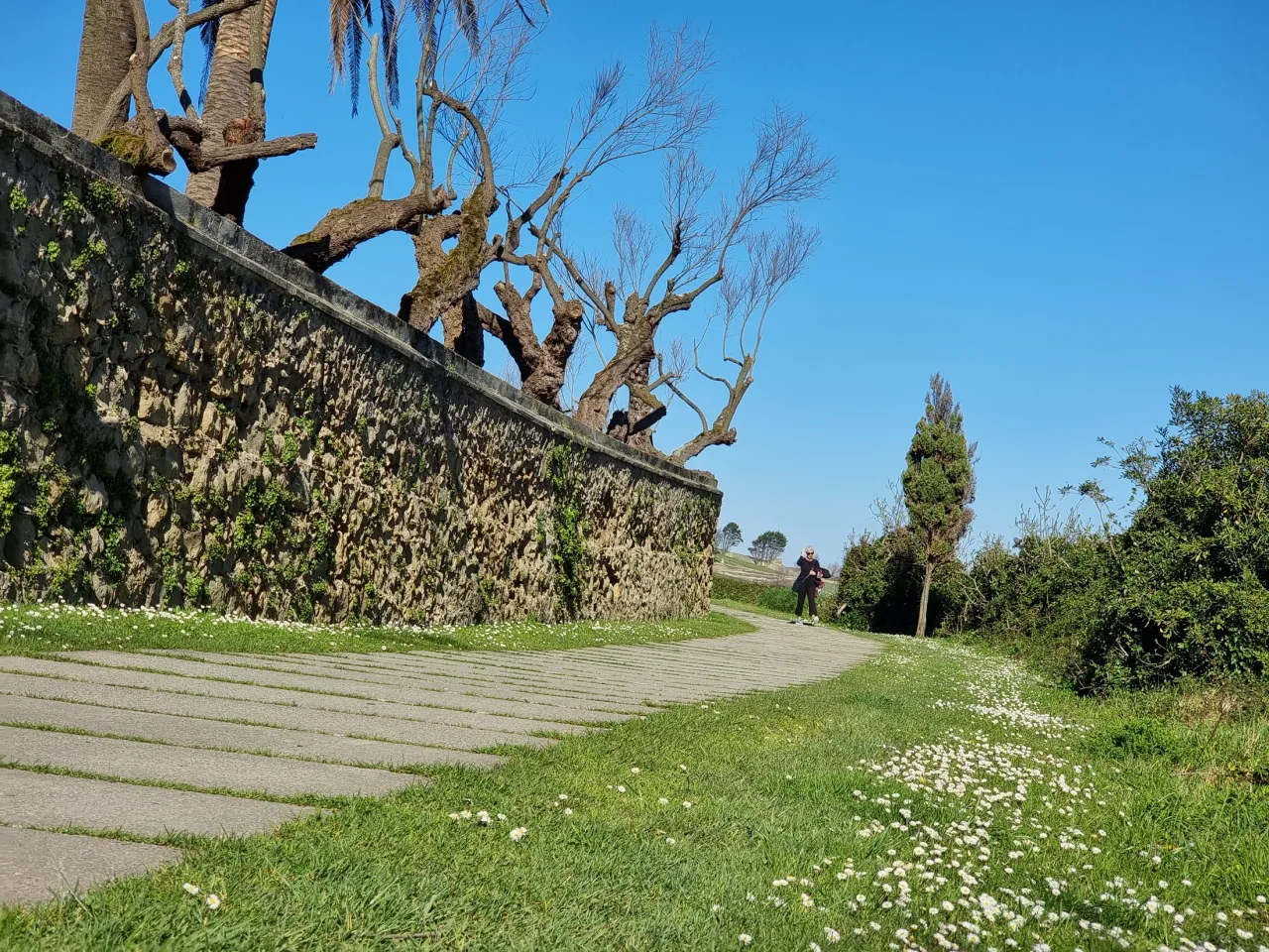 Camino pavimentado del parque de Mataleñas con un muro de piedra y árboles a un lado