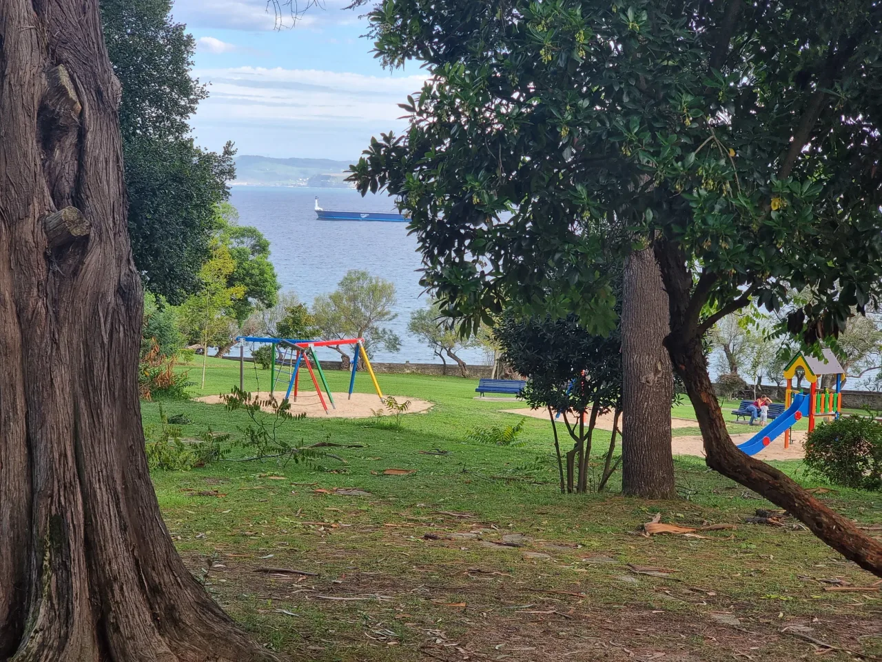 Vista del mar enmarcada por troncos y copas desde el parque de Mataleñas